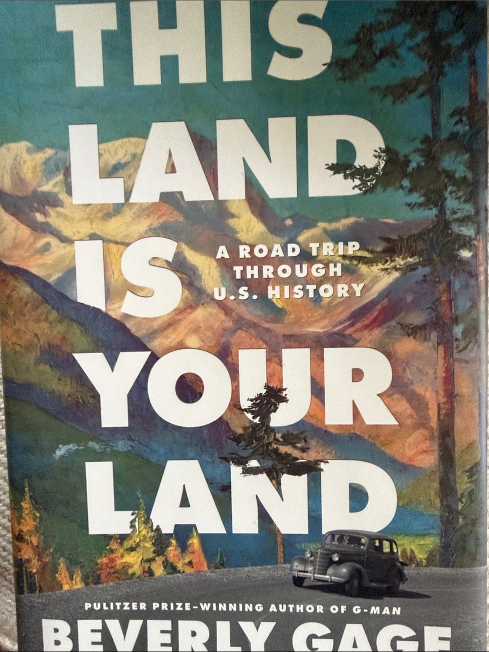 "This Land Is Your Land" hardcover by Beverly Gage